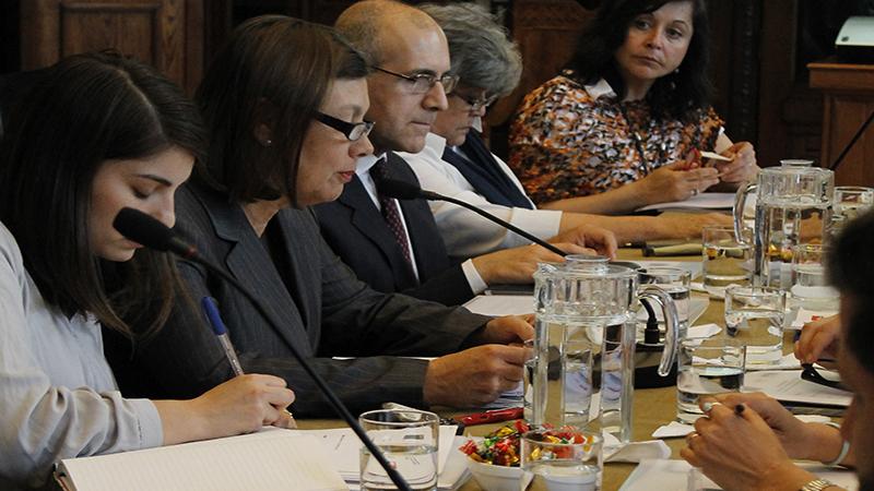 Magdalena Krebs, directora Dibam.