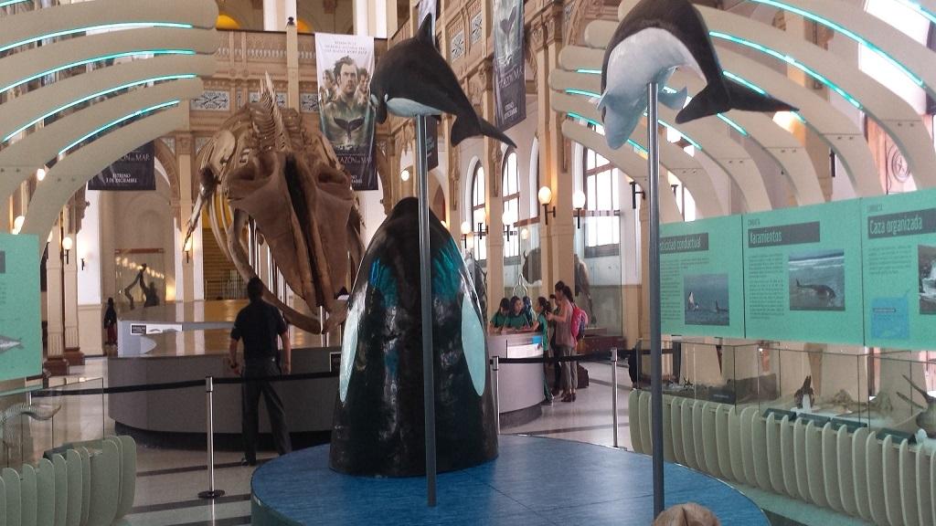 La exposición temporal "Cetáceos, de la tierra al mar", en el Salón Central del Museo Nacional de Historia Natural
