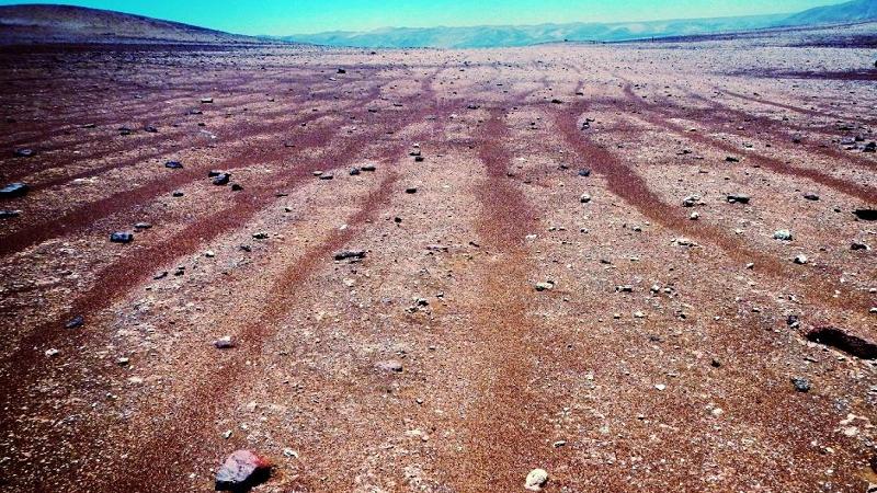 Los geoglifos milenarios dañados por vehículos están ubicados en el Cerro Tentación. Los geoglifos milenarios dañados por vehículos están ubicados en el Cerro Tentación.