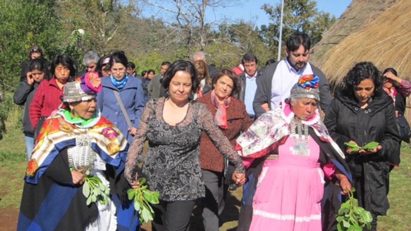 Claudia Baratinni y la comunidad mapuche.