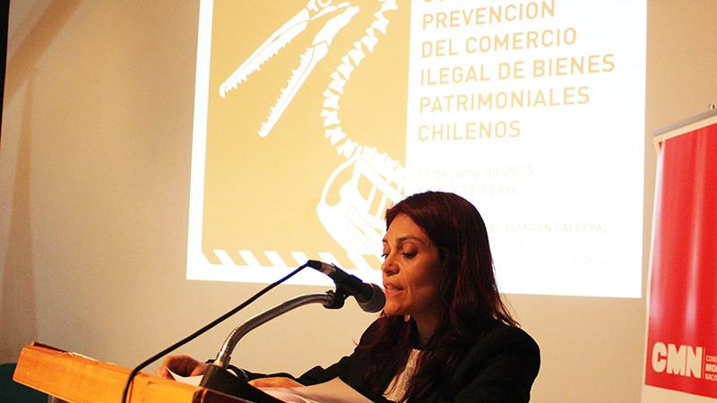 Seminario y taller en Caldera. Ana Paz Cárdenas, secretaria del CMN.
