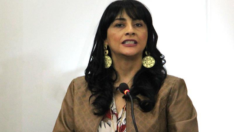 Claudia Opazo, directora Regional Metropolitana del Sernam.