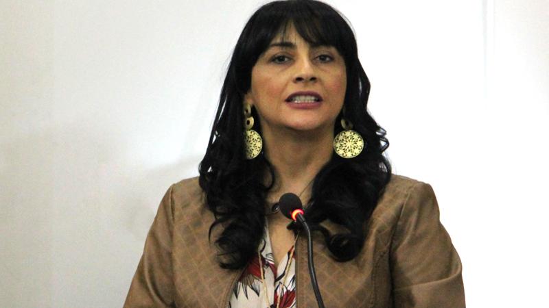 Claudia Opazo, directora Regional Metropolitana del Sernam. Claudia Opazo, directora Regional Metropolitana del Sernam.