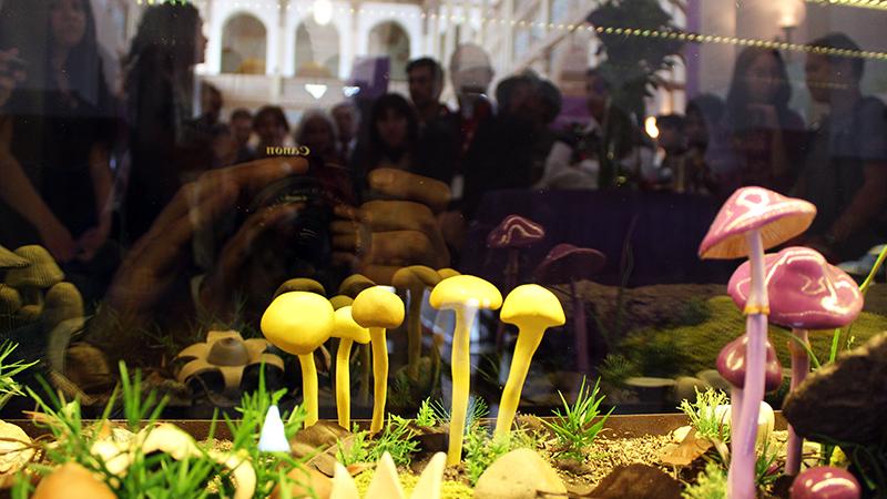 Título entre 66 y 75 caracteres (sin punto final y con mayúsculas y minúsculas) Una de las muestras de la exposición "HONGOS, un Reino por descubrir".