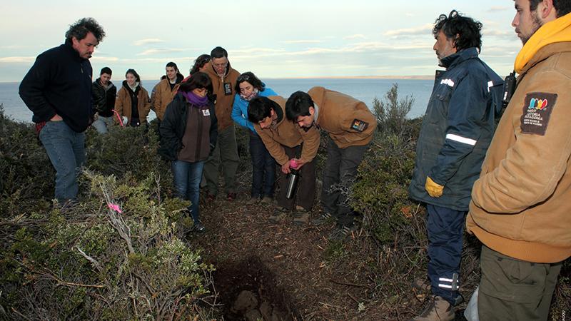 Hallazgo de cementerio histórico de Fuerte Bulnes