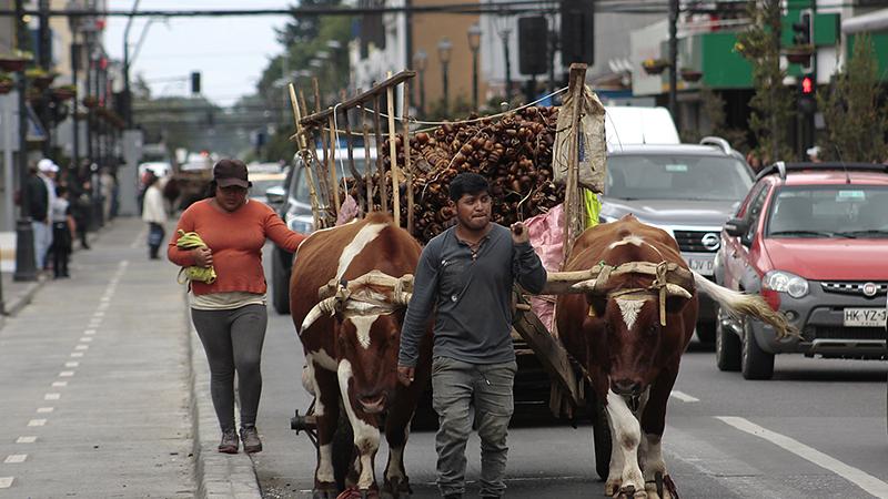 Gerson Meñaco y caminando por calle Prat en la ciudad de Temuco. Créditos fotografías Ruta: Juan César Astudillo