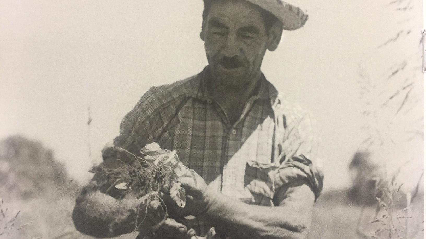 Fragmento de fotografía de Armindo Cardoso, Biblioteca Nacional.