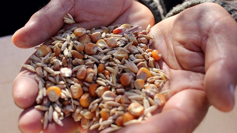 “El menú de Chile” reconoce a las cocinas patrimoniales de Chile Hasta el 27 de julio se extgendió el plazo de postulación del certamen.