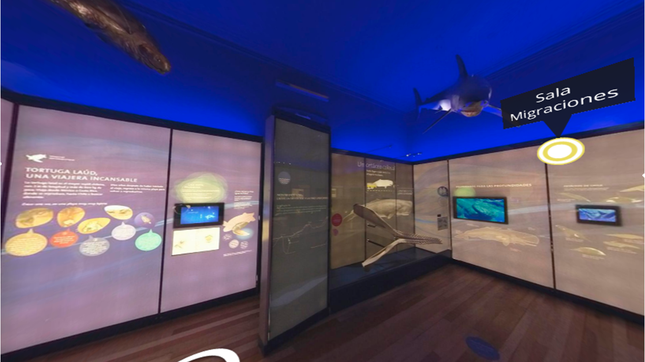 Vista del recorrido virtual en el Museo de Historia Natural de Valparaíso.