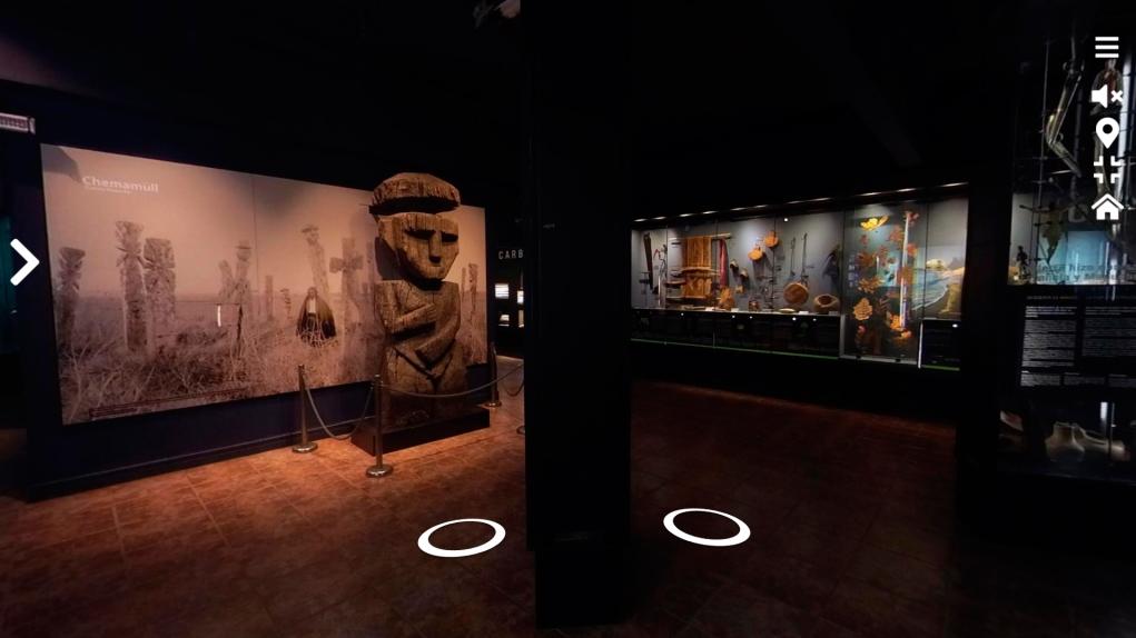 Museo de Historia Natural de Concepción estrena recorrido virtual