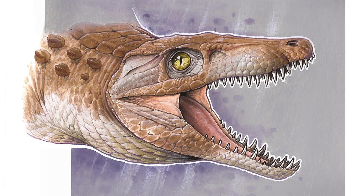 Ilustración del Burkesuchus mallingrandensis