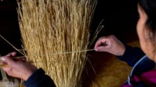 LICITACIÓN BUSCA REALIZAR UN DIAGNÓSTICO PARTICIPATIVO SOBRE LA INCORPORACIÓN DEL ENFOQUE DE GÉNERO