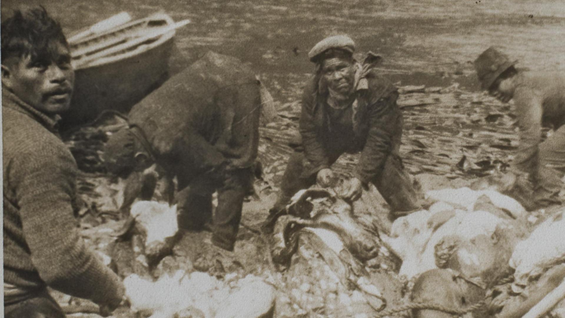 Chilotes e indígenas. «Los verdaderos dueños de los canales del sur austral»