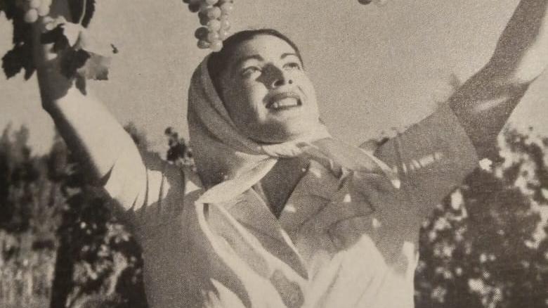 Mujer y Viñas Fotografías de archivo