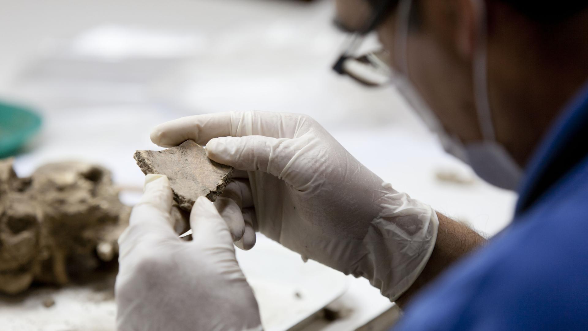 Trabajador, vestido de azul y con guantes de látex blancos, revisa fragmento cerámico, parte de la colección del museo.