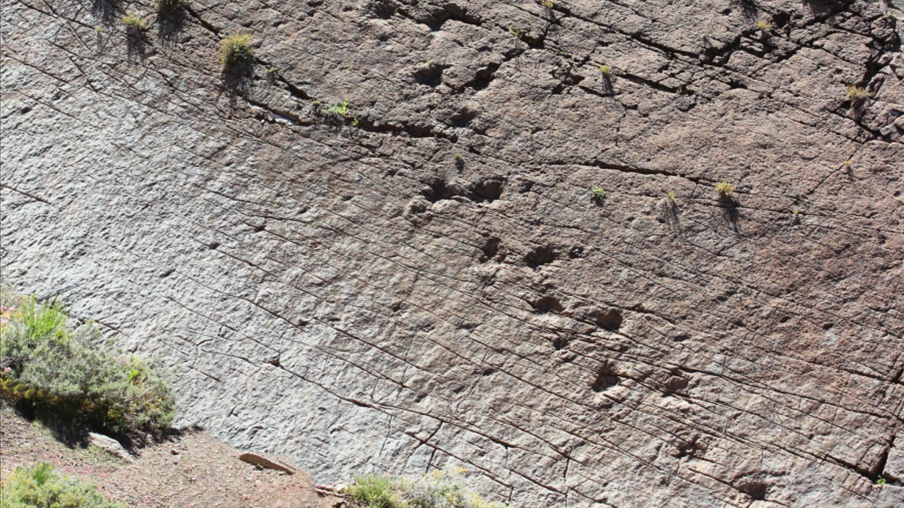   SERPAT O´Higgins publica Informe Diagnóstico Huellas de Dinosaurios de Termas del Flaco