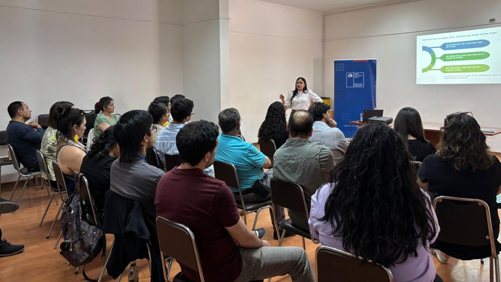 Equipo de la Dirección Regional SERPAT O’Higgins asiste a Taller de ley 21.675 de prevención y sanción de la violencia contra la Mujer