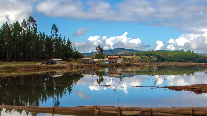 Memoria de intercambio salineros