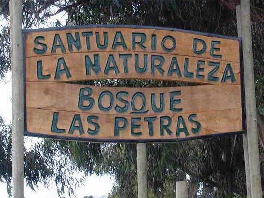 Señaletica en madera que indica la entrada al Bosque las Petras