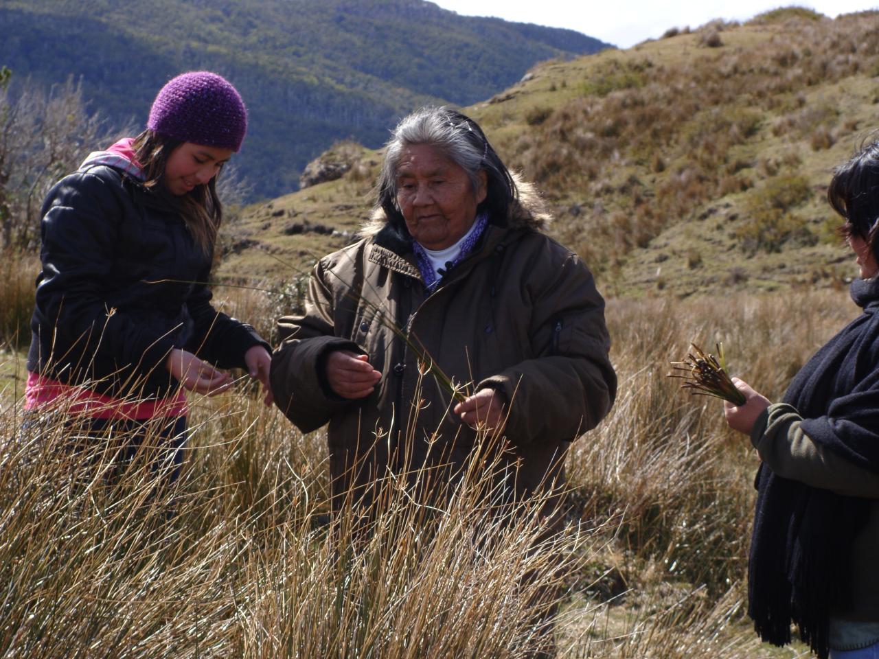 Cristina Calderón (2009)