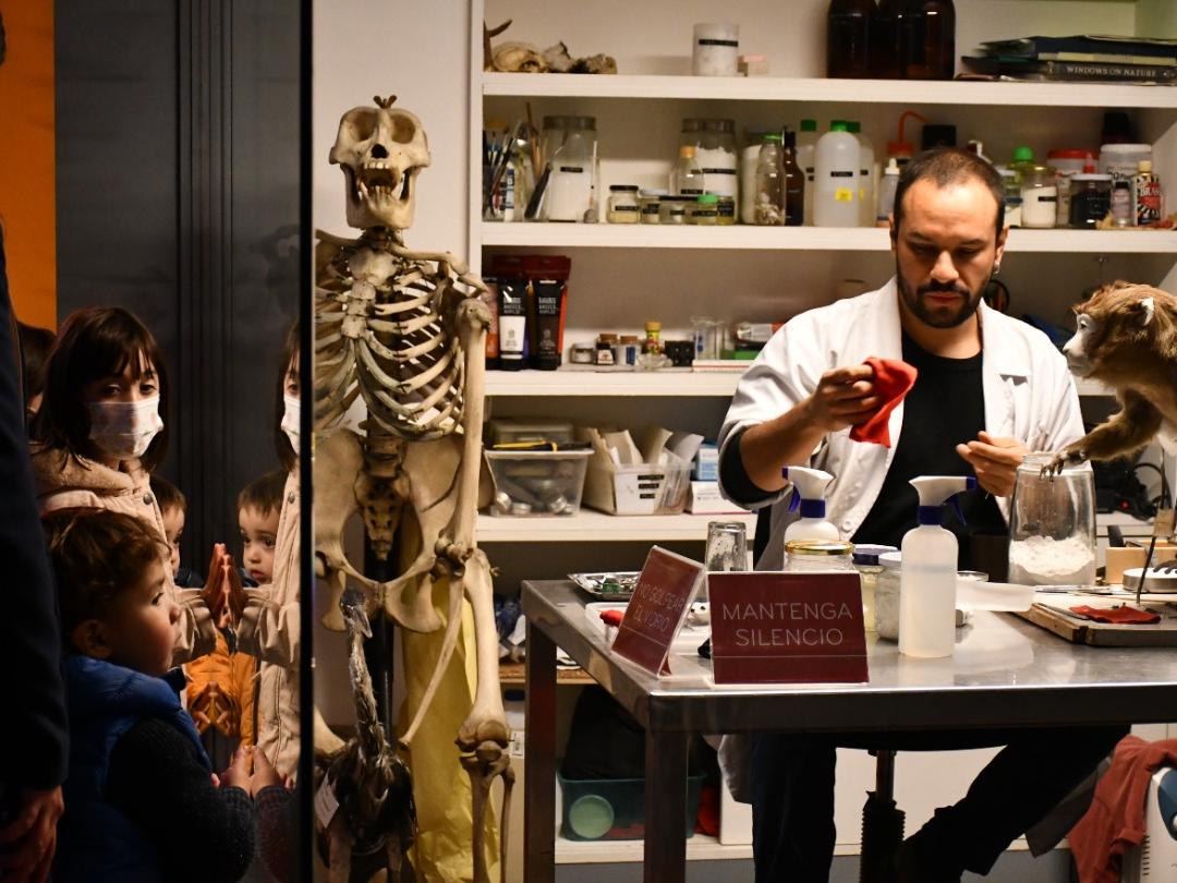 Día de los Patrimonios 2022 sábado 28 Museo Nacional de Historia Natural