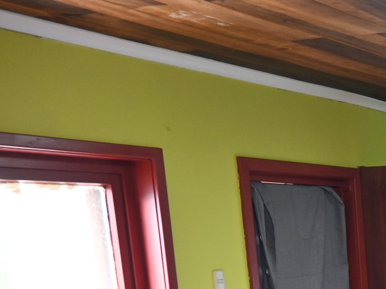 Marcela Bruna Segundo semestre 2024