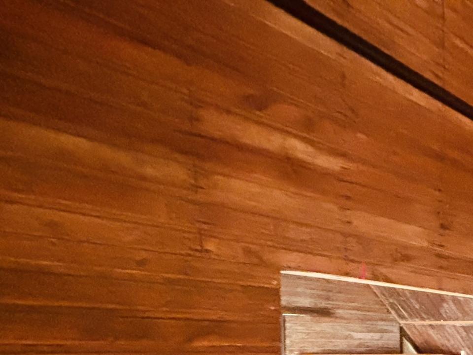 Por Griffero S. (5 noviembre 2024). Archivo CMCP.