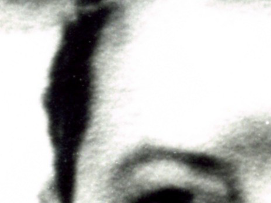 Comité Derechos Humanos