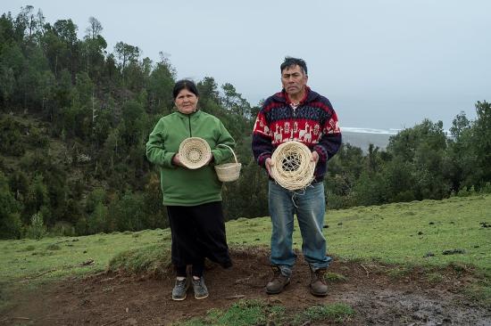 Foto: Javier Godoy. Artesanos de Püll Püll Foki de Alepúe (2015).
