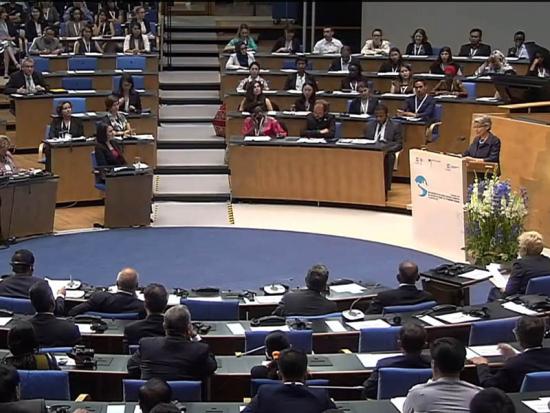 39ª reunión del Comité del Patrimonio Mundial en plena sesión.