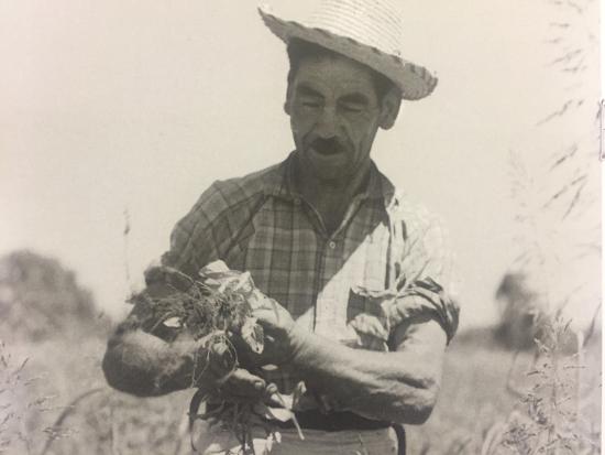 Fragmento de fotografía de Armindo Cardoso, Biblioteca Nacional.
