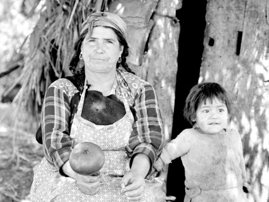 Fotografía de Armindo Cardoso, Machi Mariquita, Nueva Imperial, Temuco, (fragmento), 1971. Colección Biblioteca Nacional.