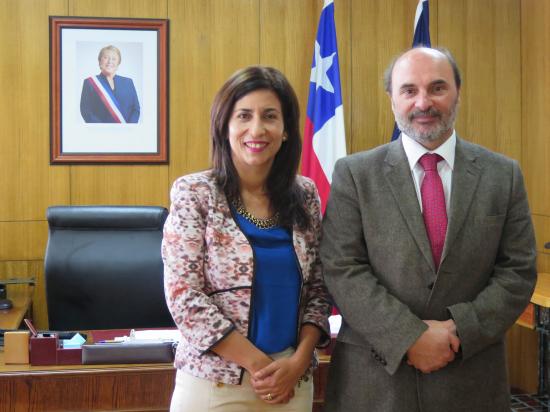Intendenta región de Arica y Parinacota, Gladys Acuña, y director Dibam, Ángel Cabeza.