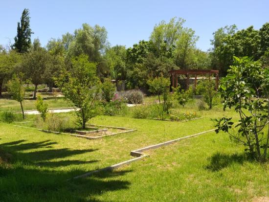 Detalle del lugar donde se emplazará la huerta del Museo Gabriela Mistral de Vicuña.