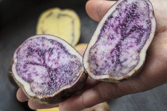 Papas variedad murta y camota.