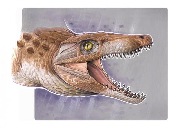 Ilustración del Burkesuchus mallingrandensis
