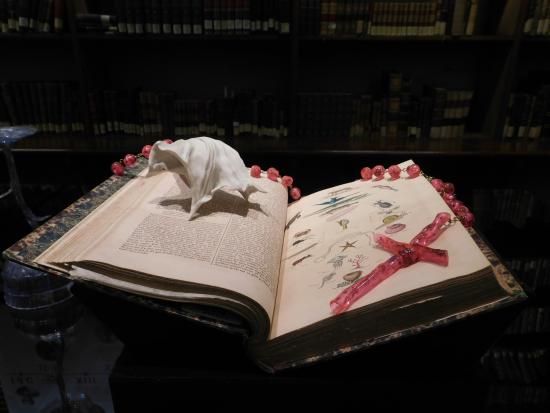 Libro_vanitas
