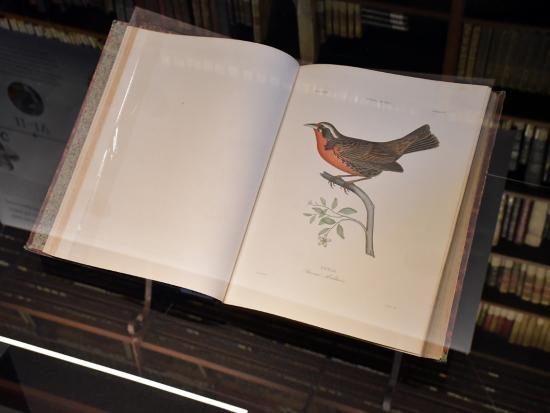 Libro con ilustración de un ave