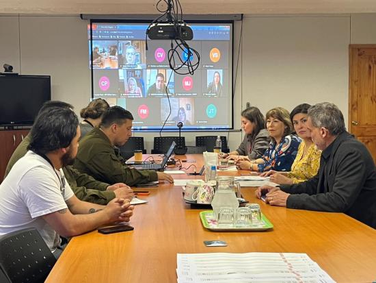 Seremi de Cultura encabezó sesión de Mesa Regional de Prevención de Tráfico Ilícito de Bienes Patrimoniales