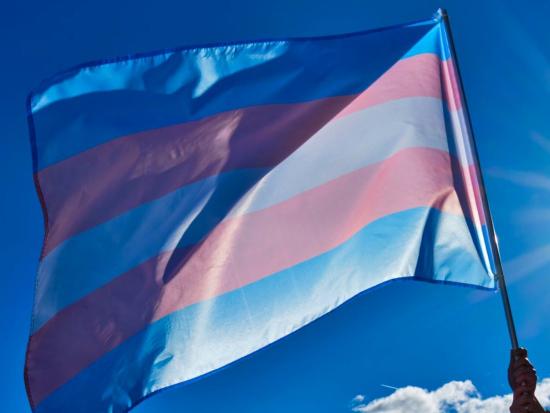 bandera memoria trans