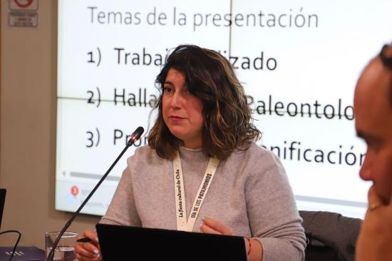 Resumen Plan de Infraestructura Regional O’Higgins Junio 2025