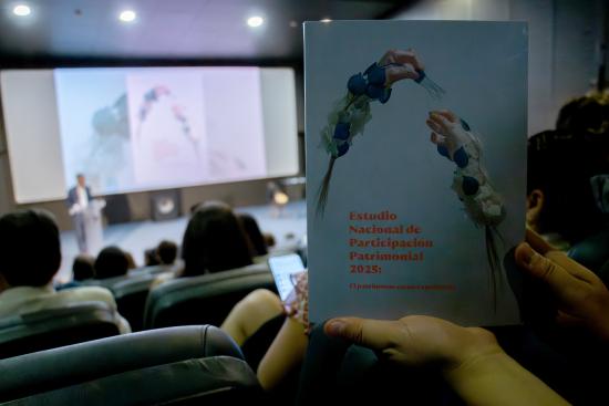 Estudio_participacion_Patrimonial