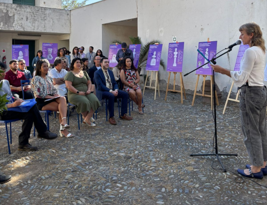 Serpat O'Higgins presenta colección de infografías sobre Género y Monumentos Públicos en la Región