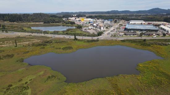 Humedal Andalién Rocuant