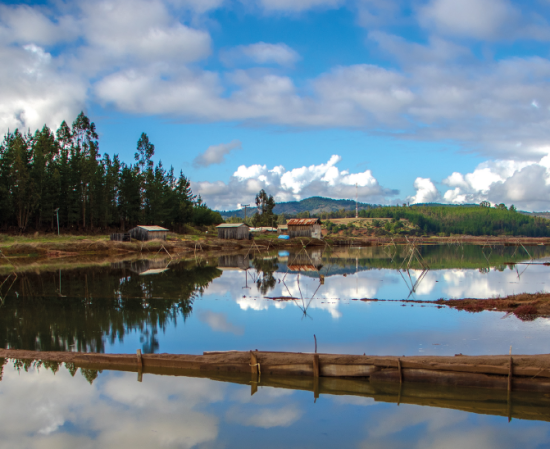 Memoria de intercambio salineros
