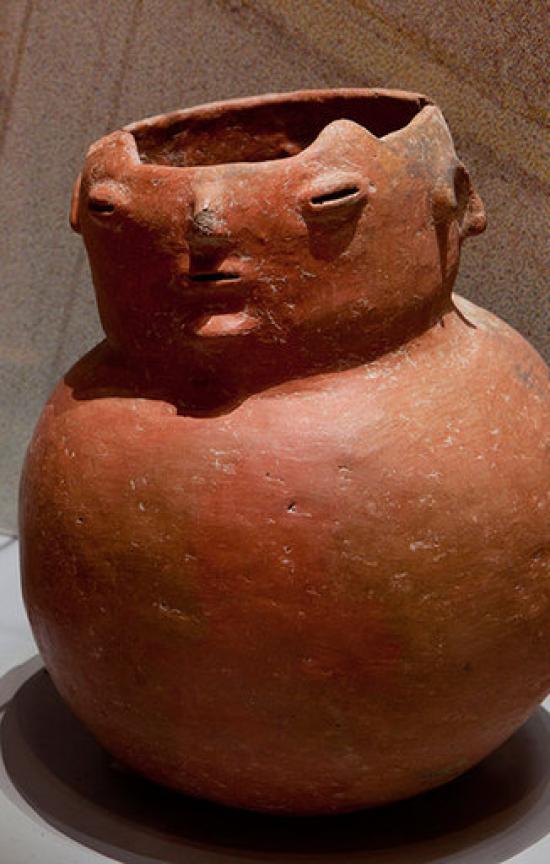 Limarí Museum portada