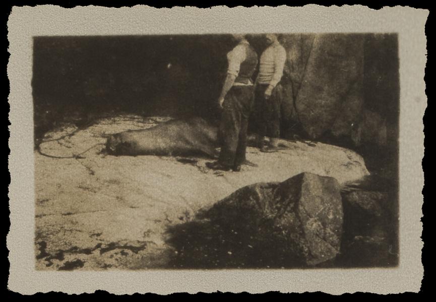 Dos cazadores de lobos de mar
