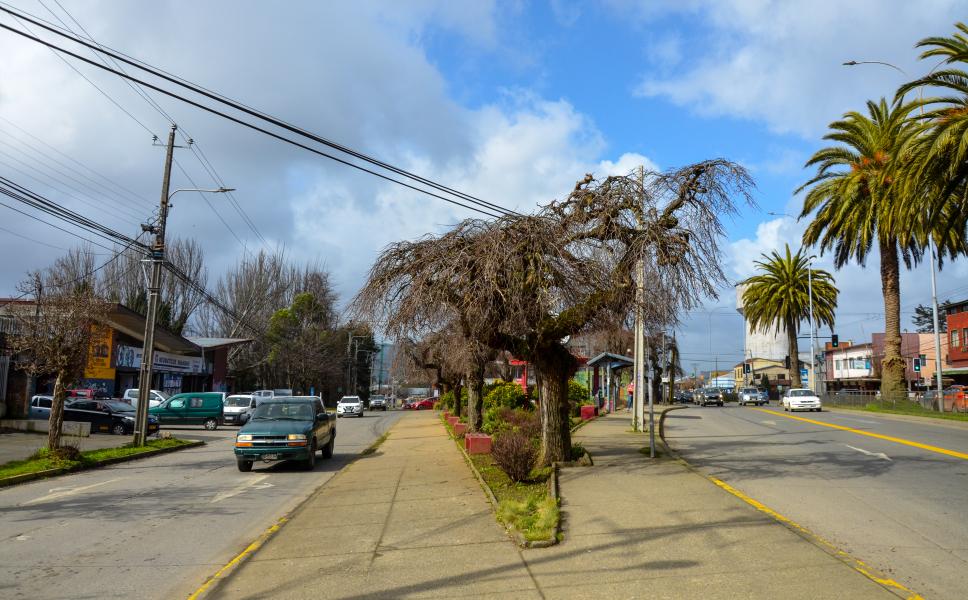 Contexto Ramón Picarte