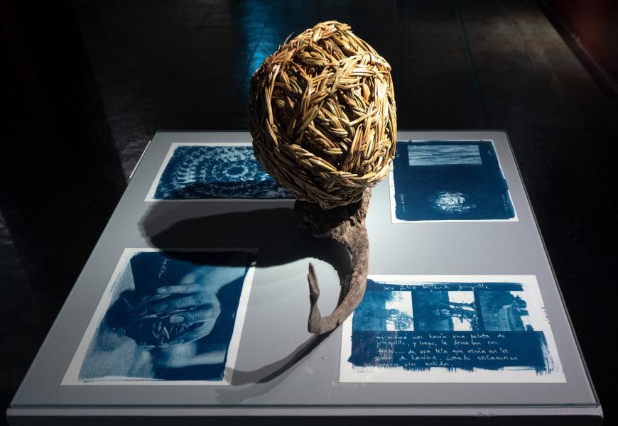 Autores: Leopoldo Pizarro y Luisa Caro