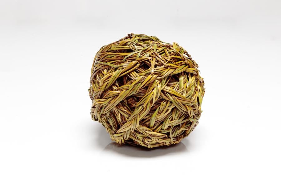 Autores: Leopoldo Pizarro y Luisa Caro